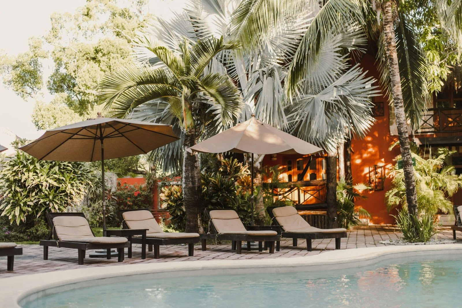 A view of a poolside surrounded by greenery